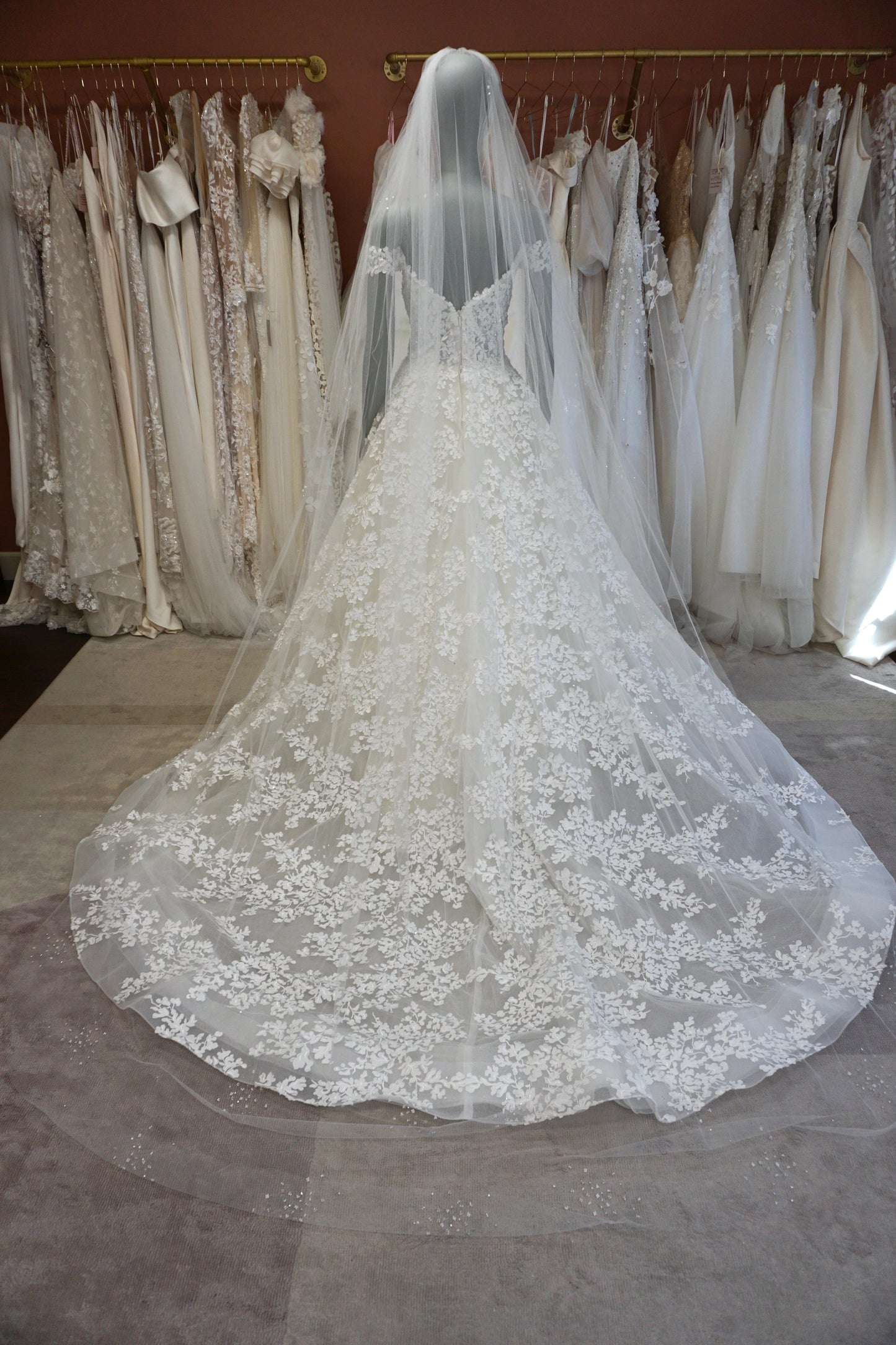 Lazaro - Vienna