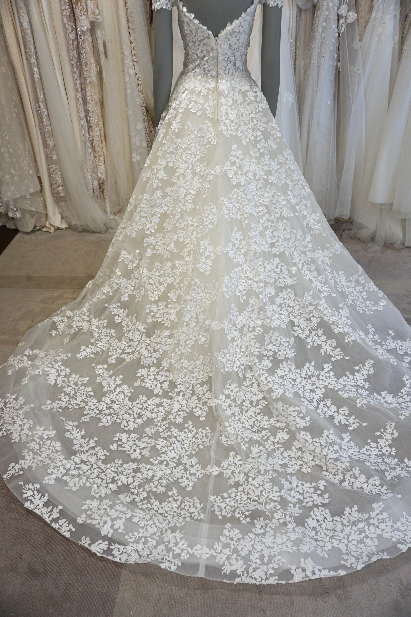 Lazaro - Vienna