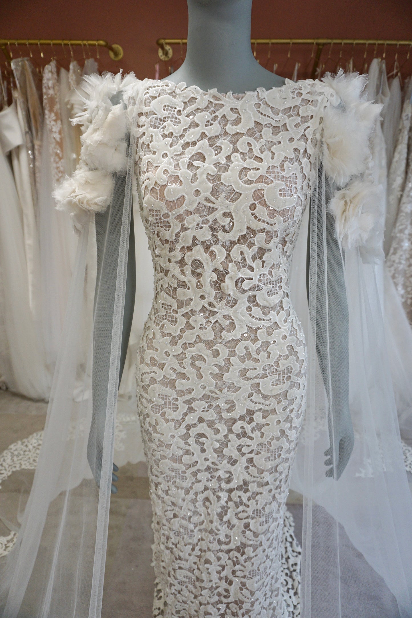 Tony Ward - Radiance