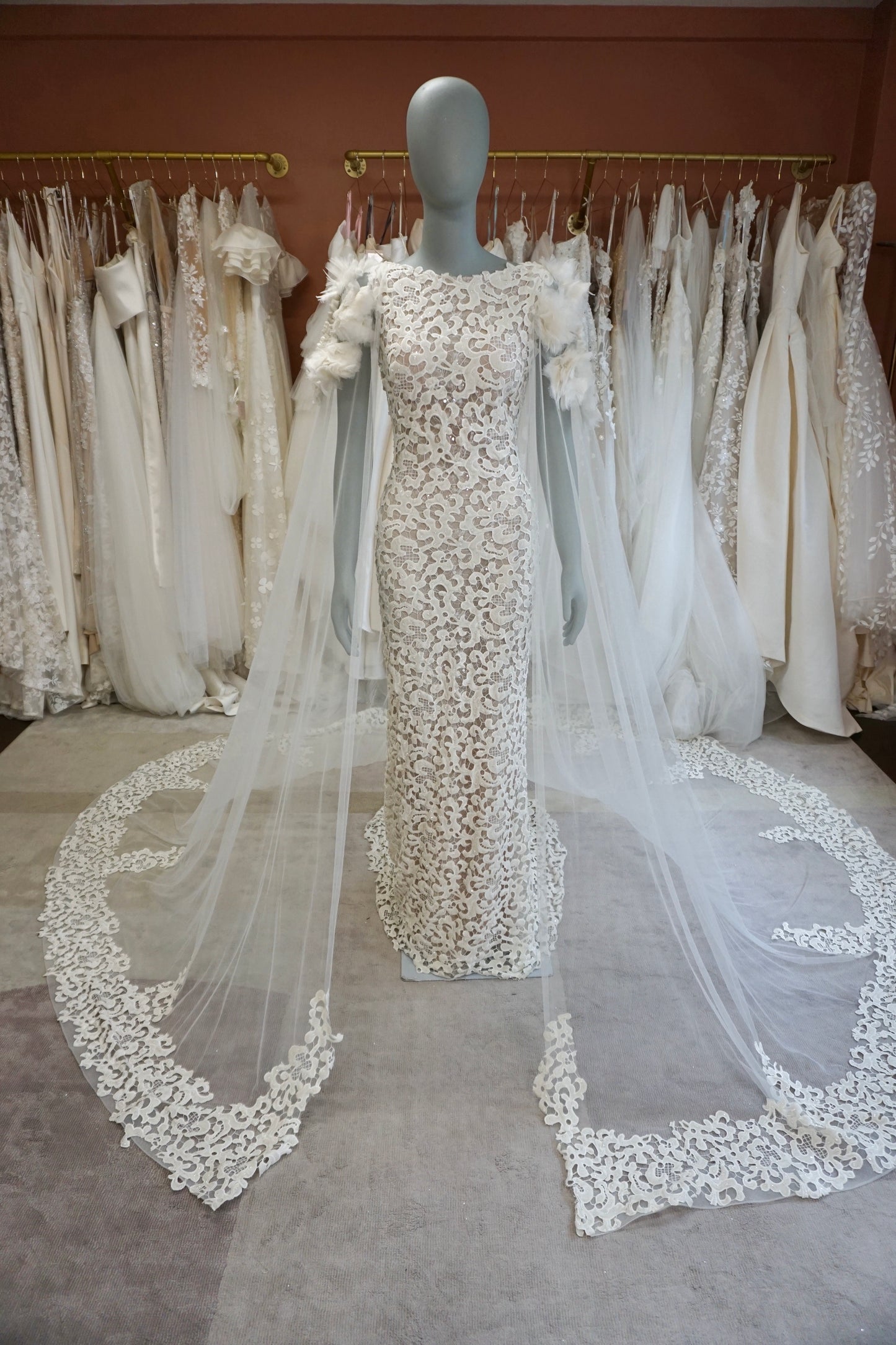 Tony Ward - Radiance