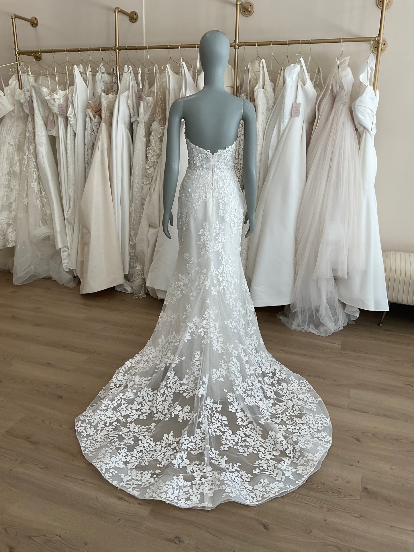 Lazaro - Harlow (8)