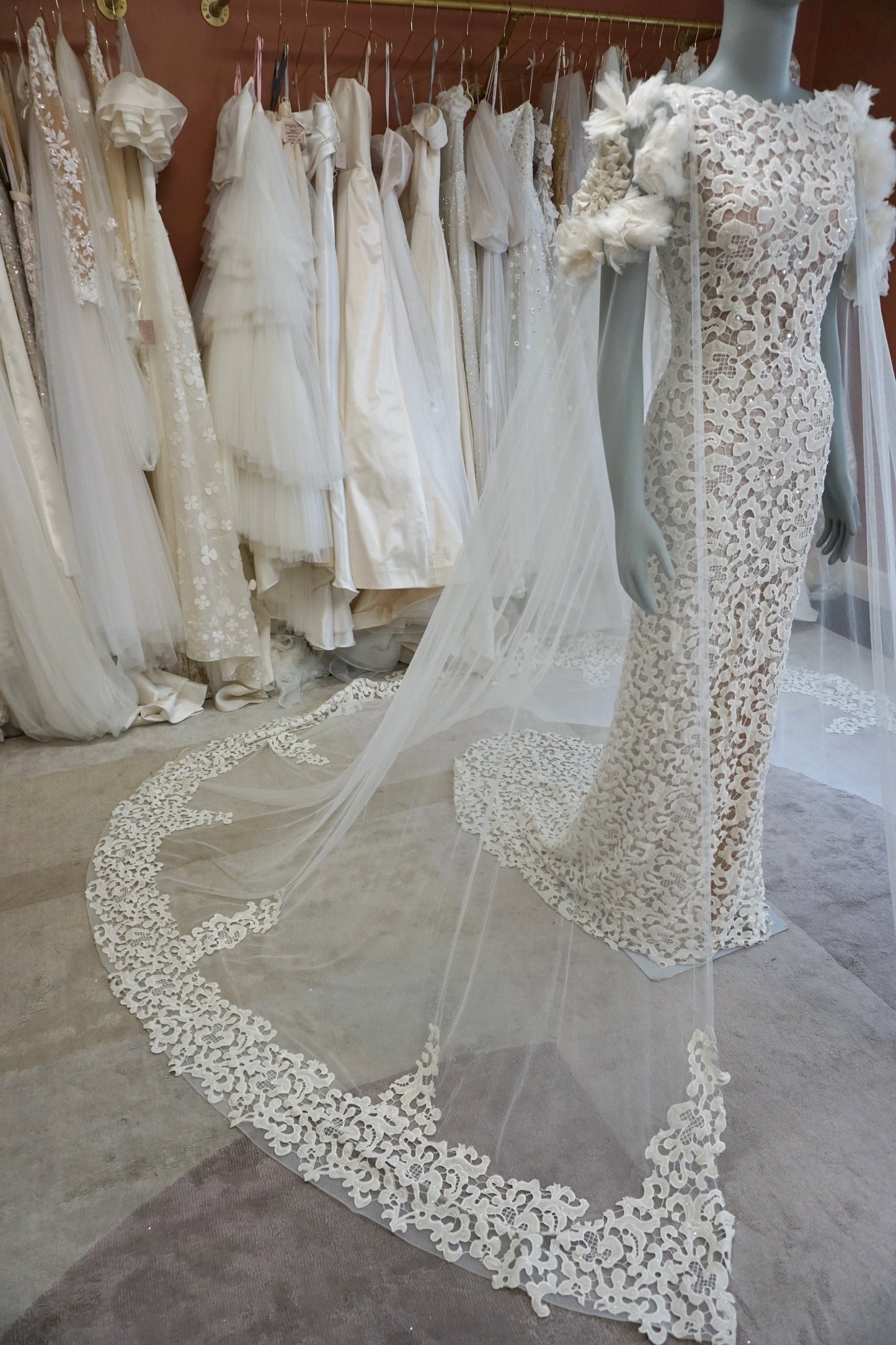 Tony Ward - Radiance
