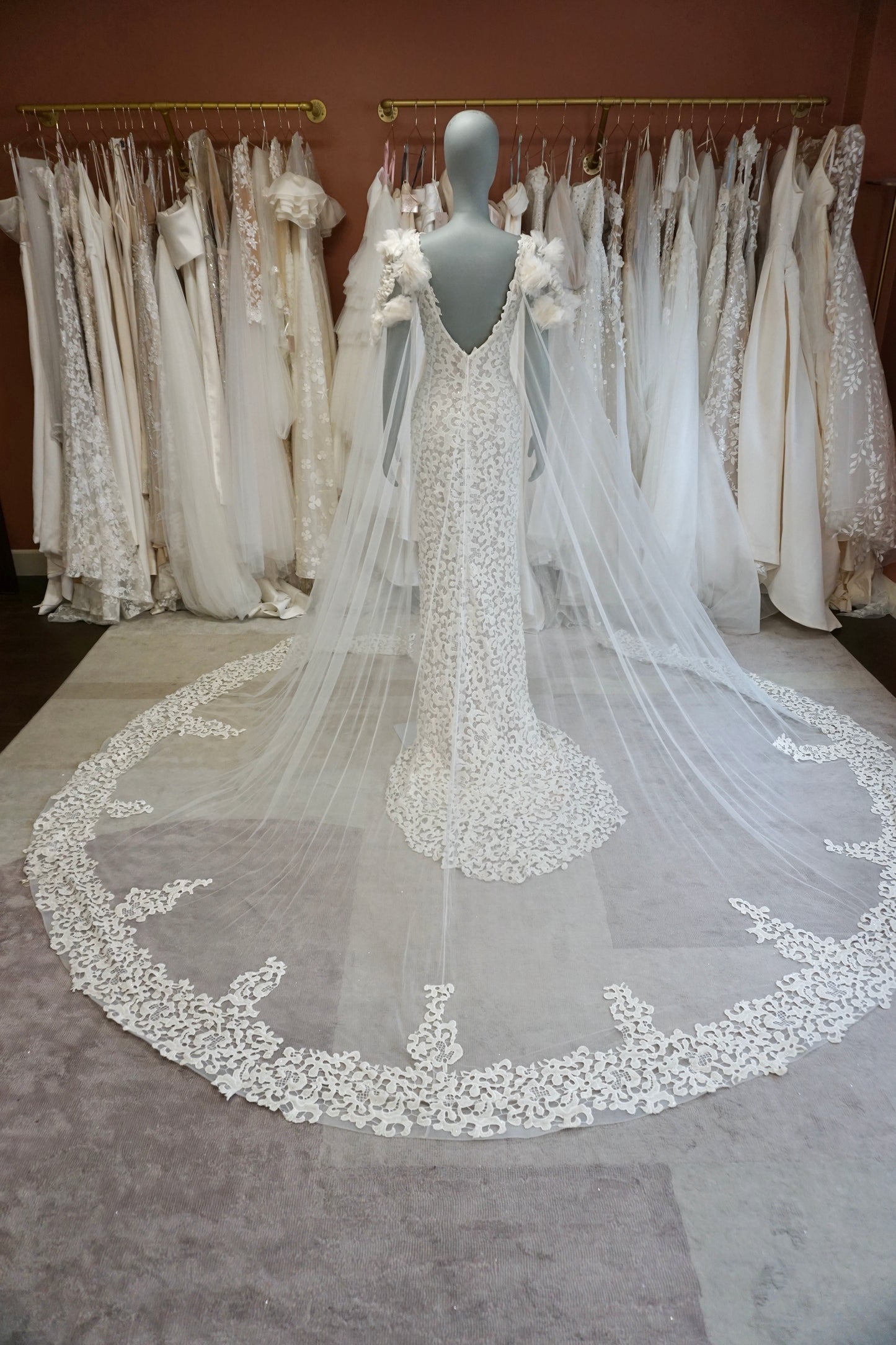 Tony Ward - Radiance