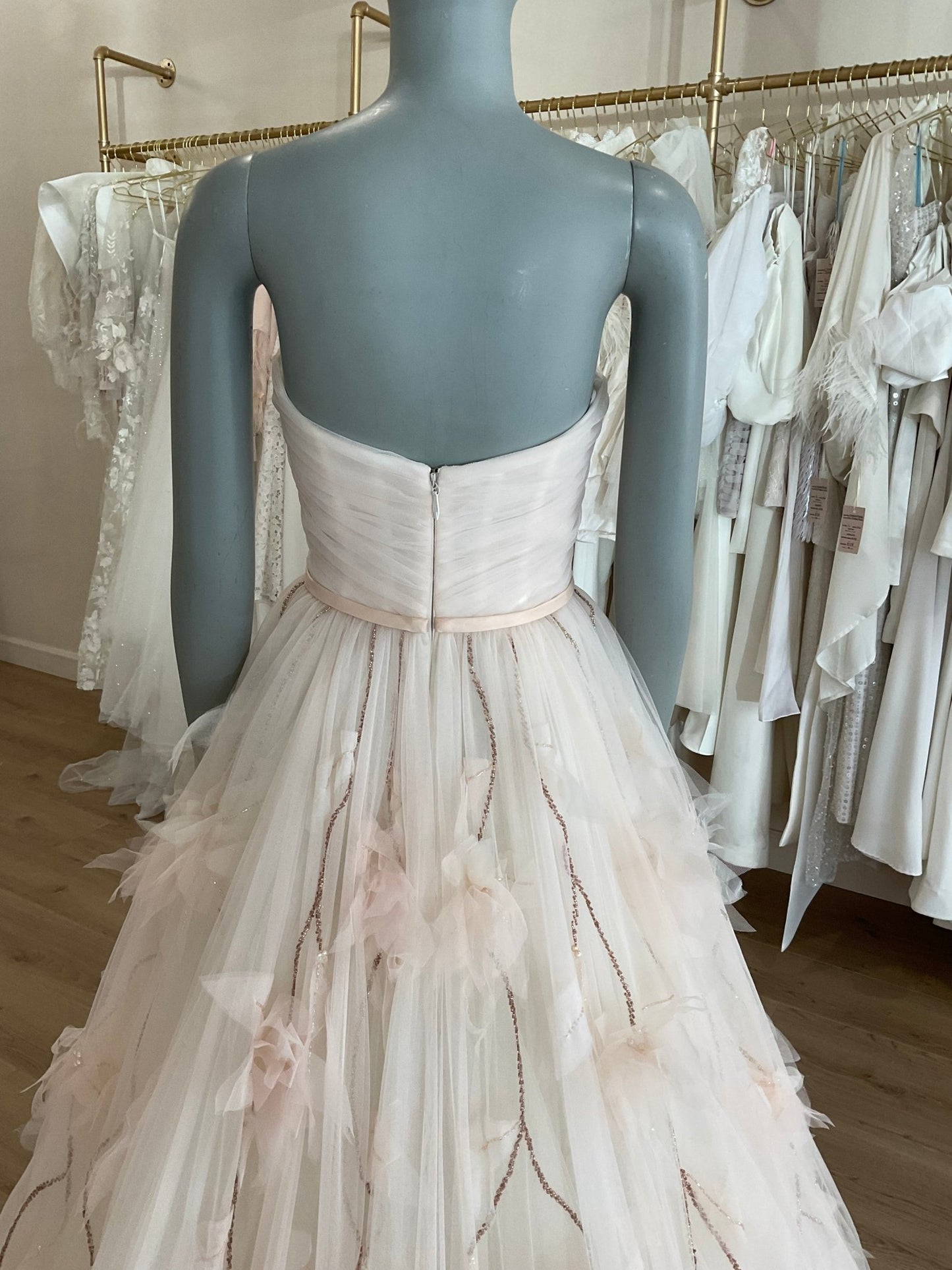 Amsale - Zora w/veil (10)Wedding DressesBlush
