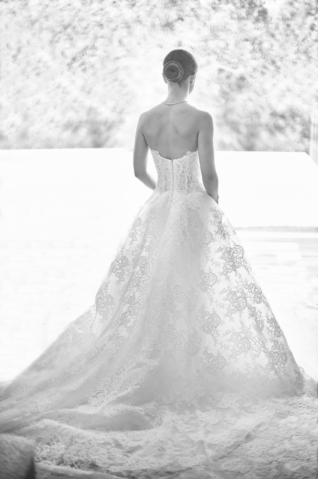 Monique Lhuillier - Fleur di Lis (2) w/veilWedding Dresses2