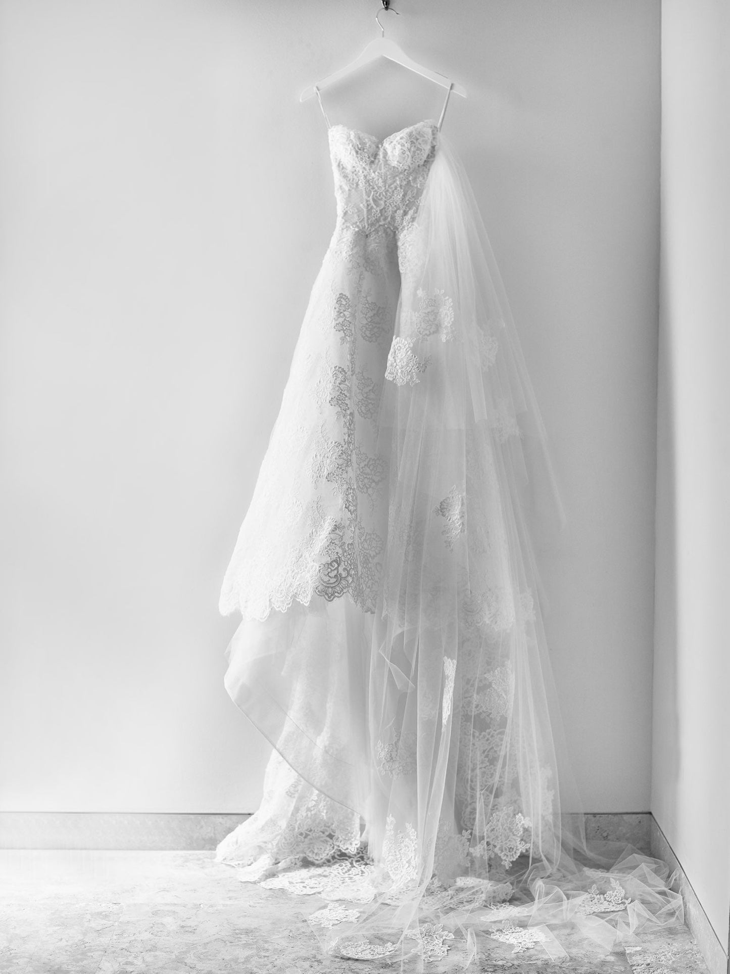 Monique Lhuillier - Fleur di Lis (2) w/veilWedding Dresses2