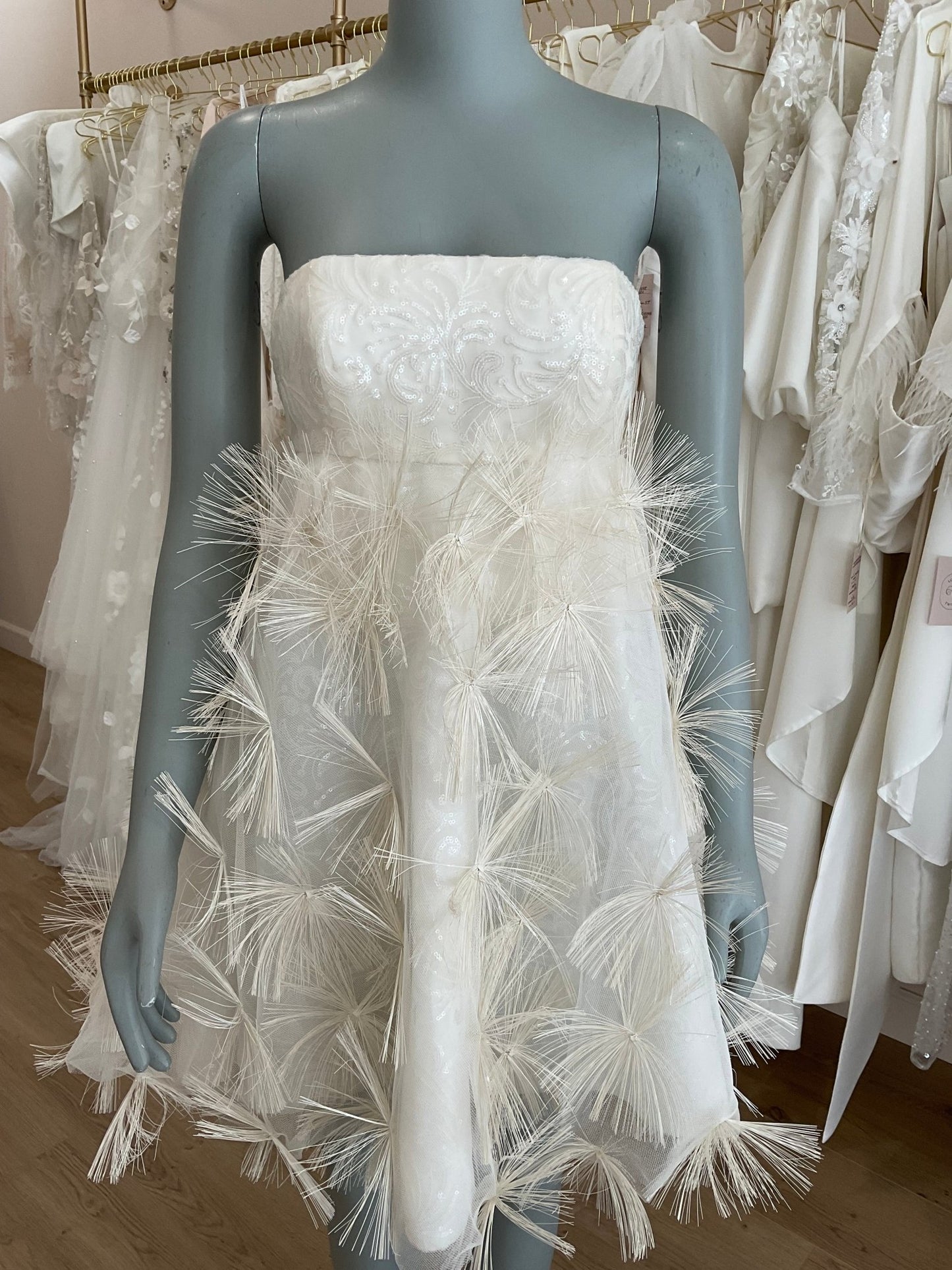 Steven Birnbaum Bridal - Shalom (6)Wedding Dresses6