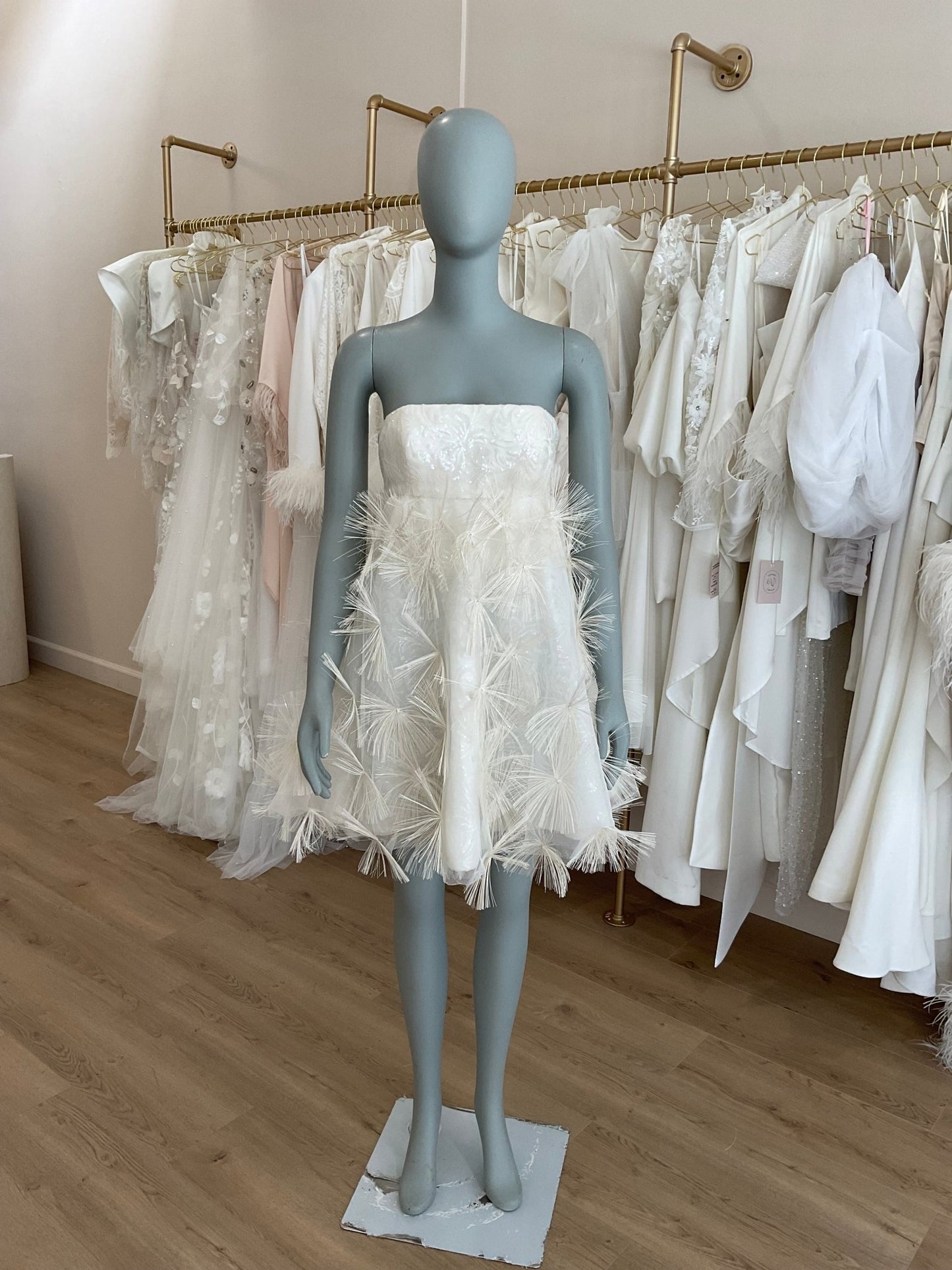 Steven Birnbaum Bridal - Shalom (6)Wedding Dresses6