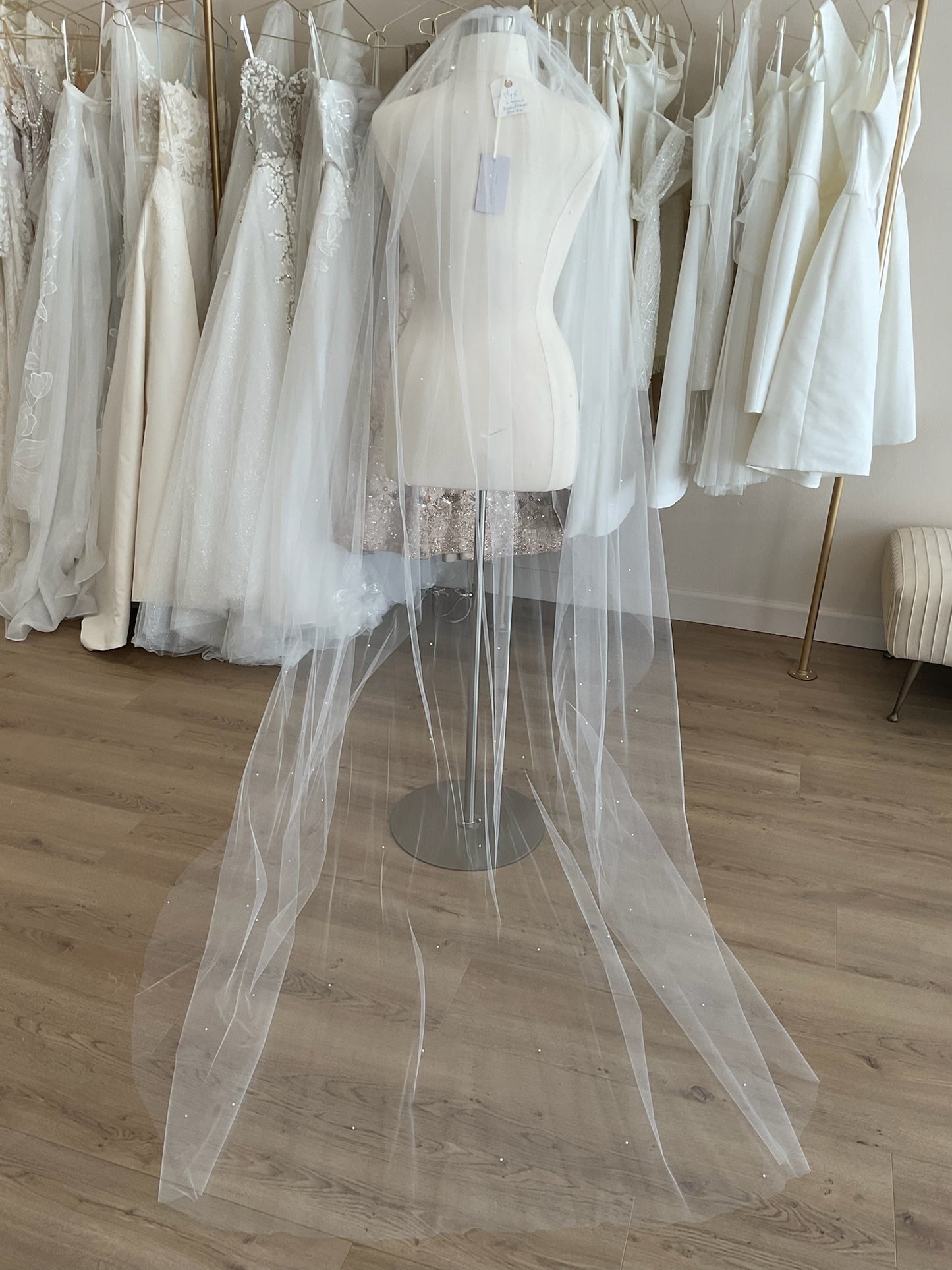 Jennifer Leigh - Alyx Veil