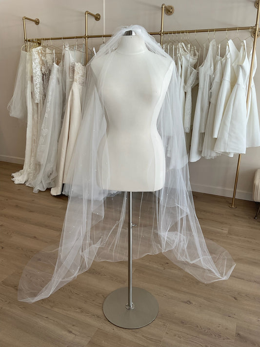 Jennifer Leigh - Alyx Veil