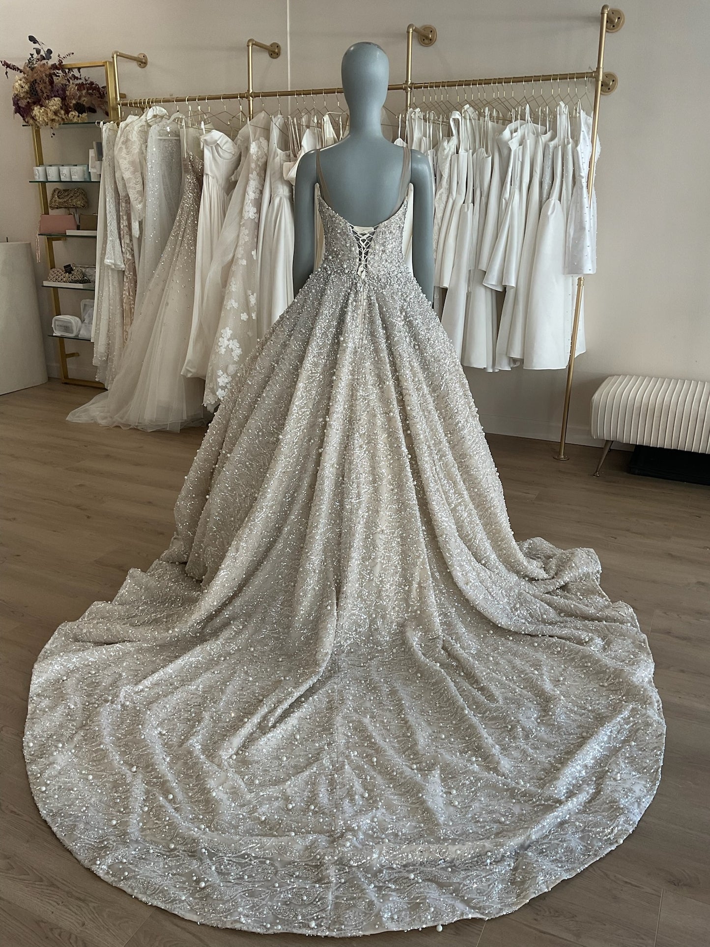 Custom - Princess Gown (6)