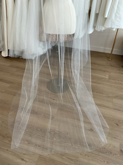 Jennifer Leigh - Alyx Veil