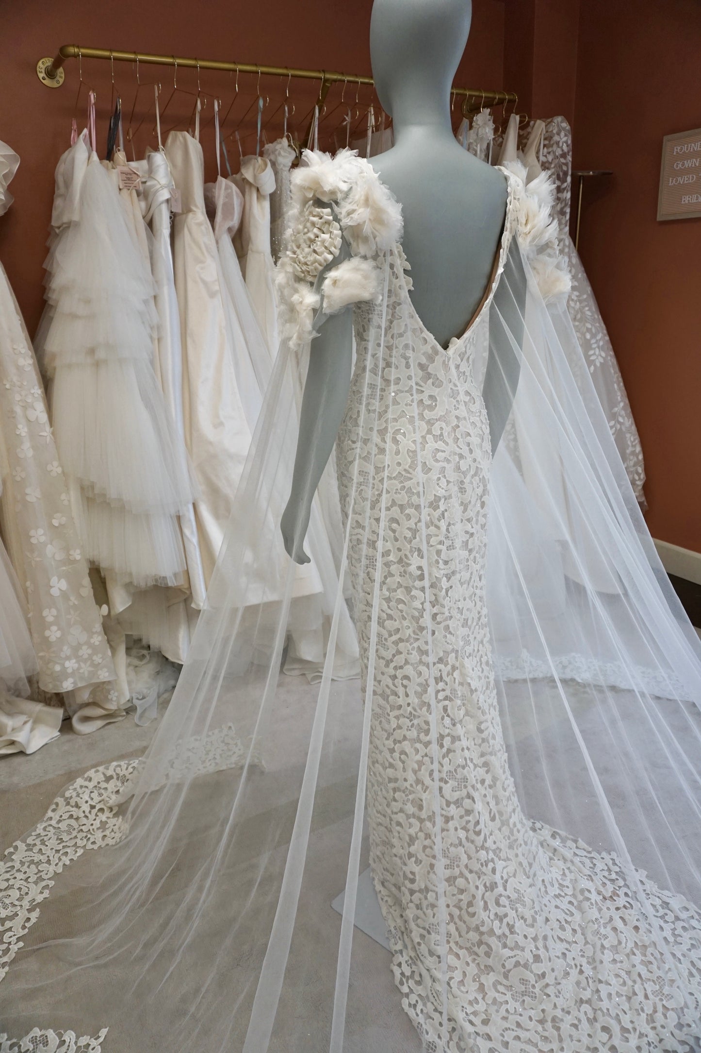 Tony Ward - Radiance