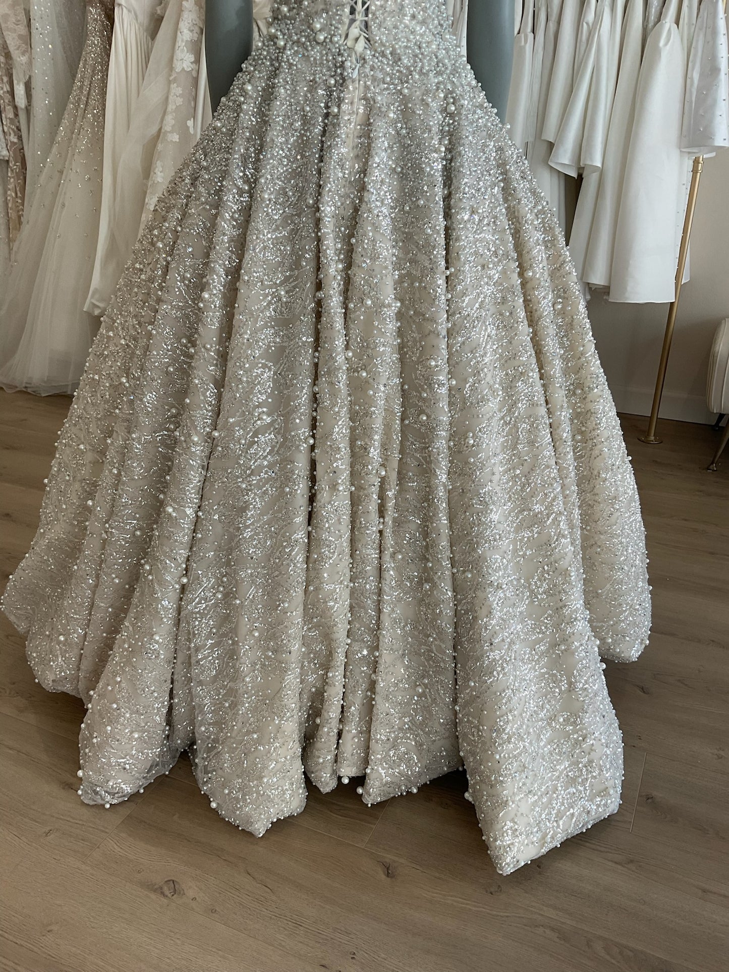 Custom - Princess Gown (6)