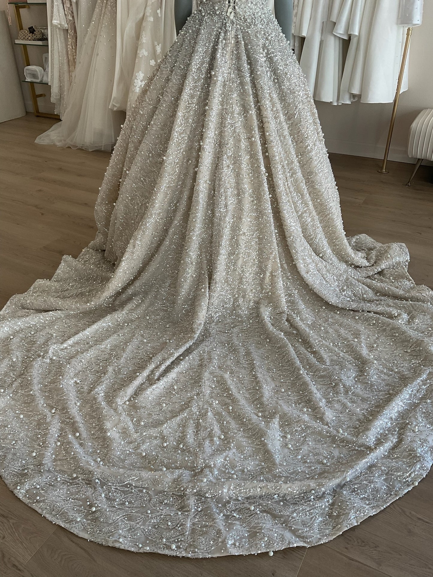 Custom - Princess Gown (6)