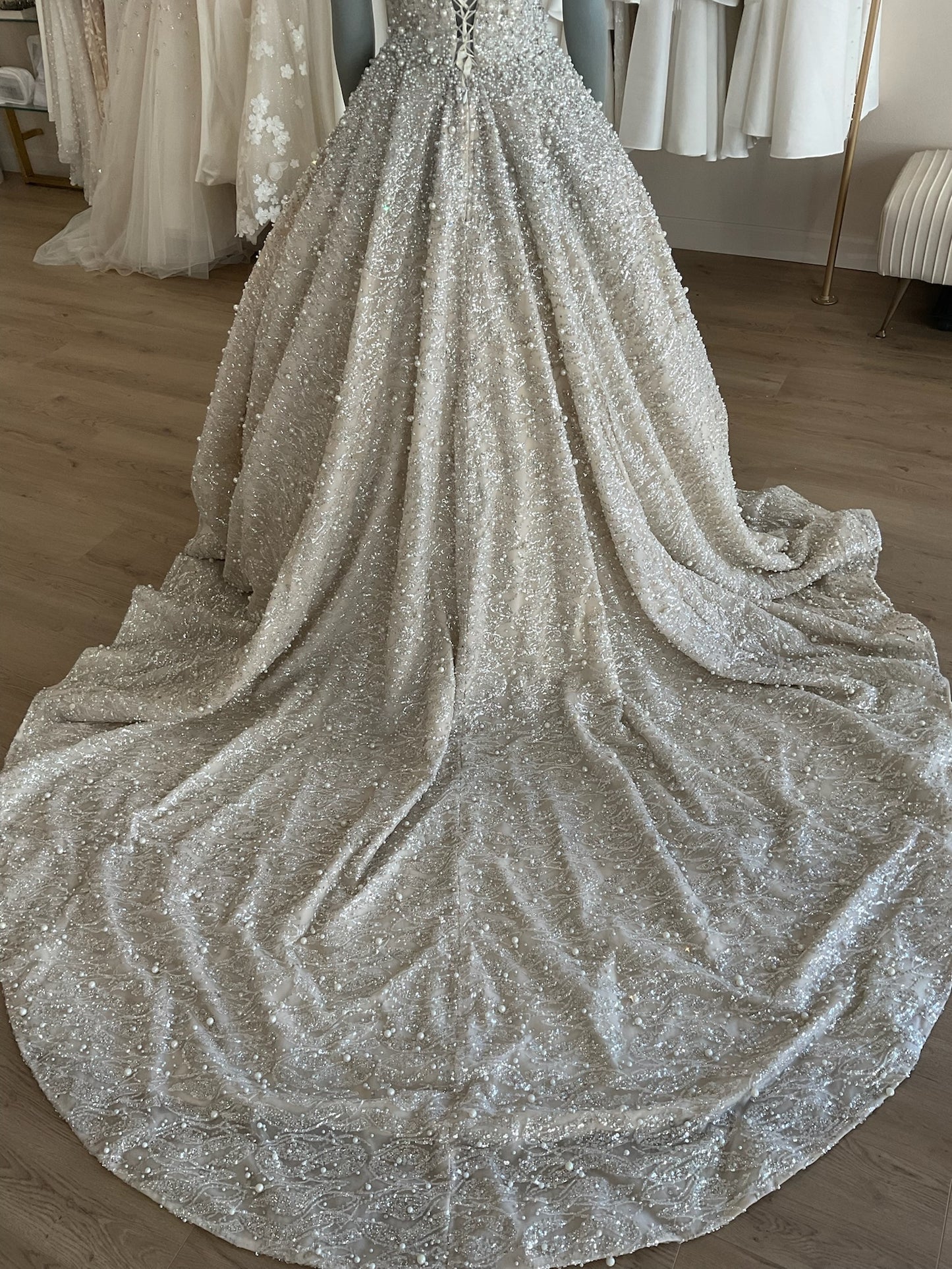 Custom - Princess Gown (6)