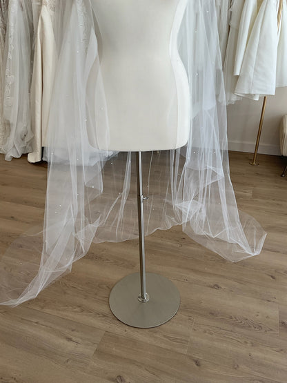 Jennifer Leigh - Alyx Veil