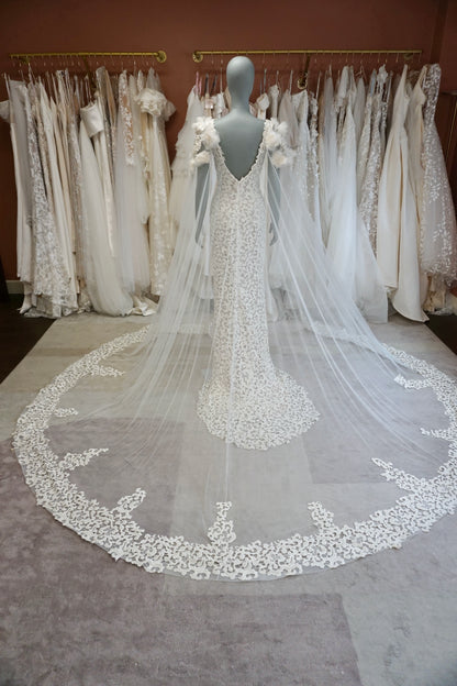 Tony Ward - Radiance