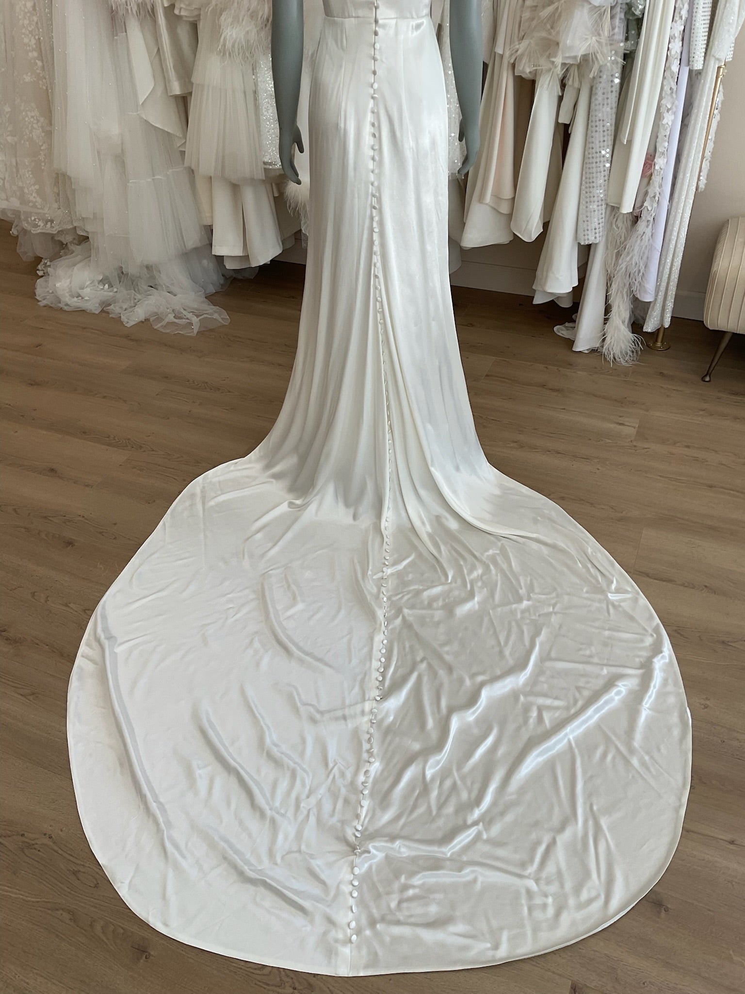 Aleena Leena - Monstera (6) ModifiedWedding Dresses6