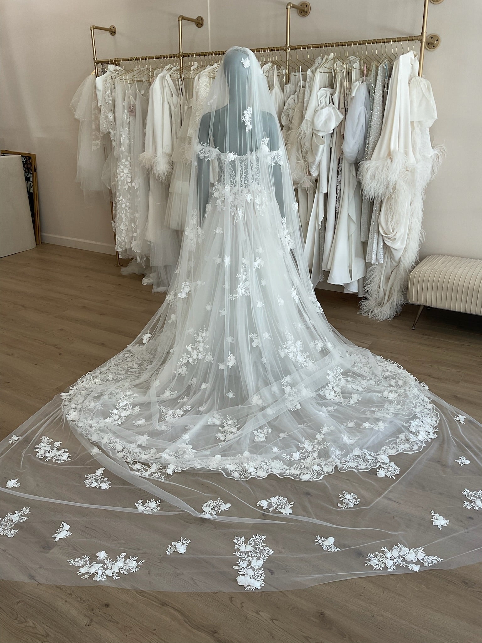 Gala by Galia Lahav - Lake Modified (6) w/VeilWedding Dresses6