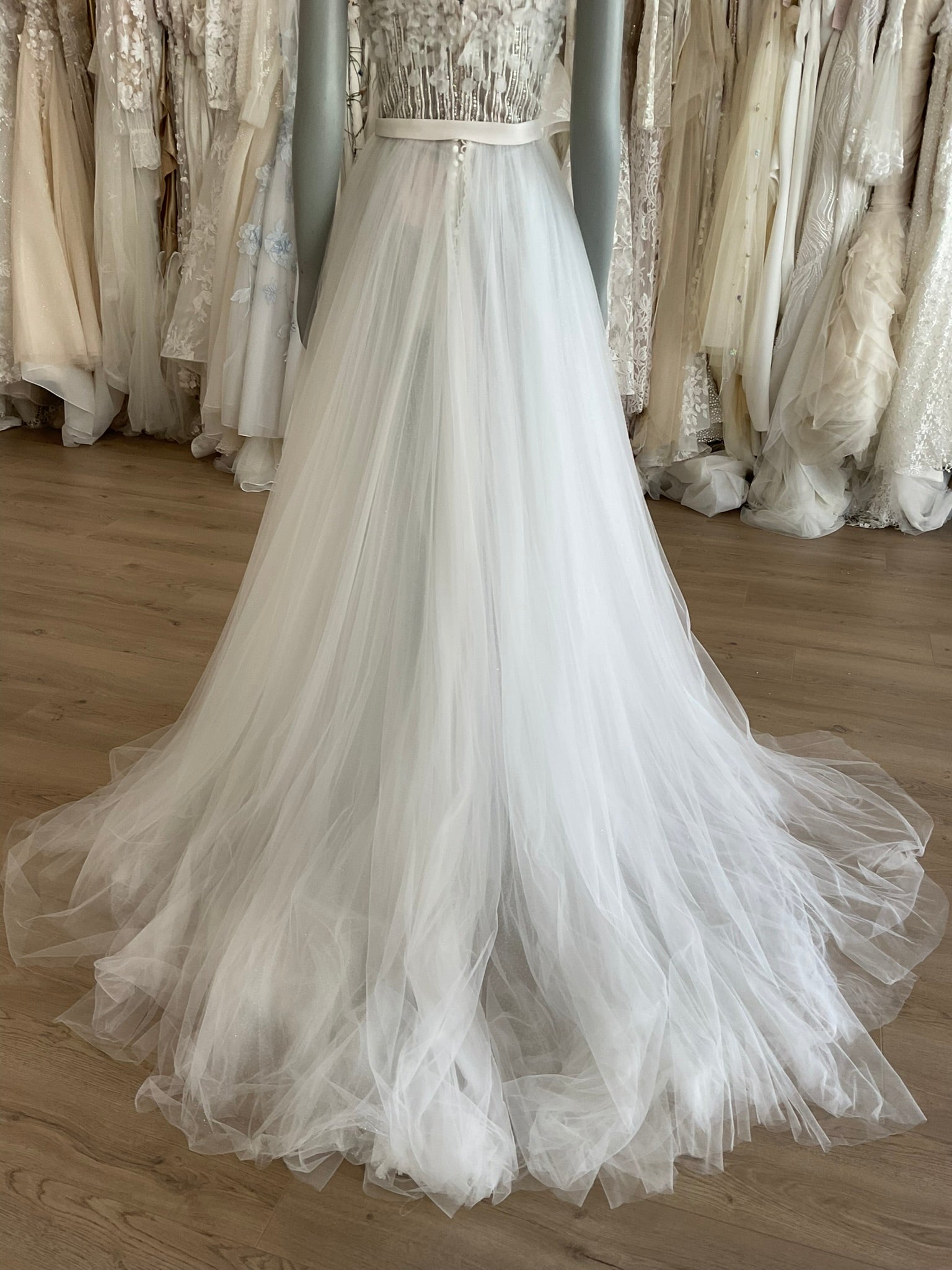 Pronovias Atelier - Olivier (6)Wedding Dresses6