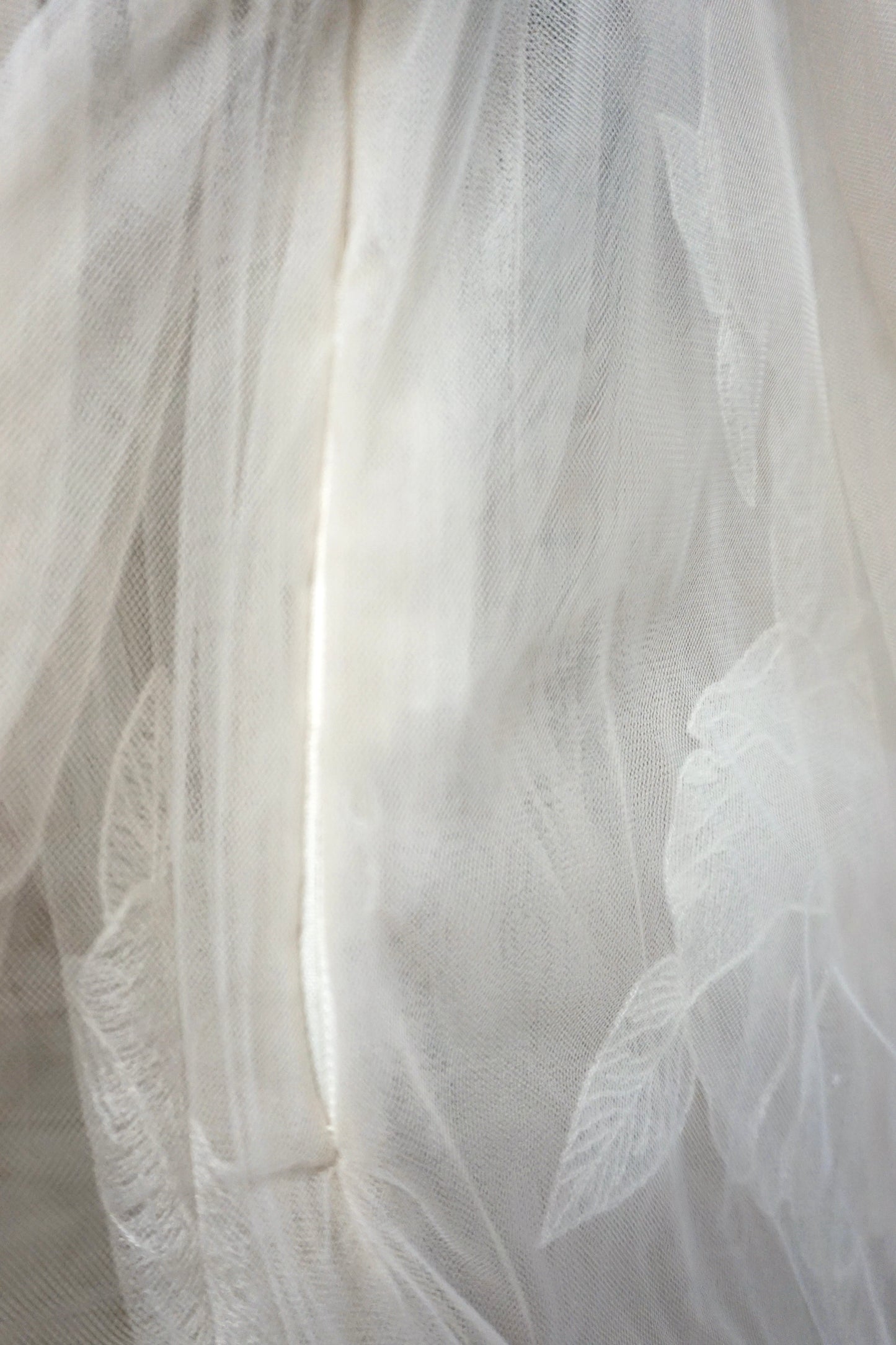 Tal Kedem - Ivory Rainbow